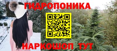 шишки Ипатово