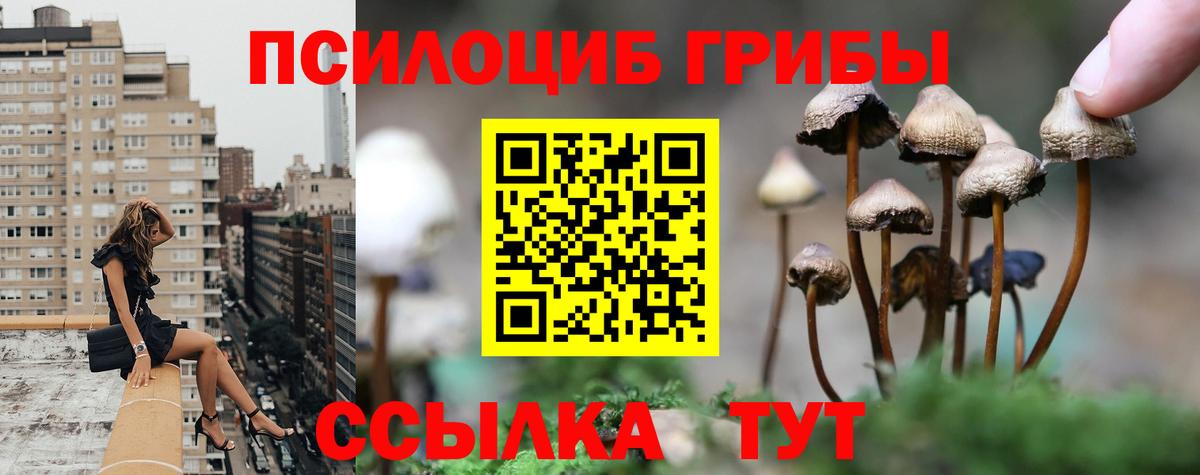 Галлюциногенные грибы GOLDEN TEACHER Энгельс