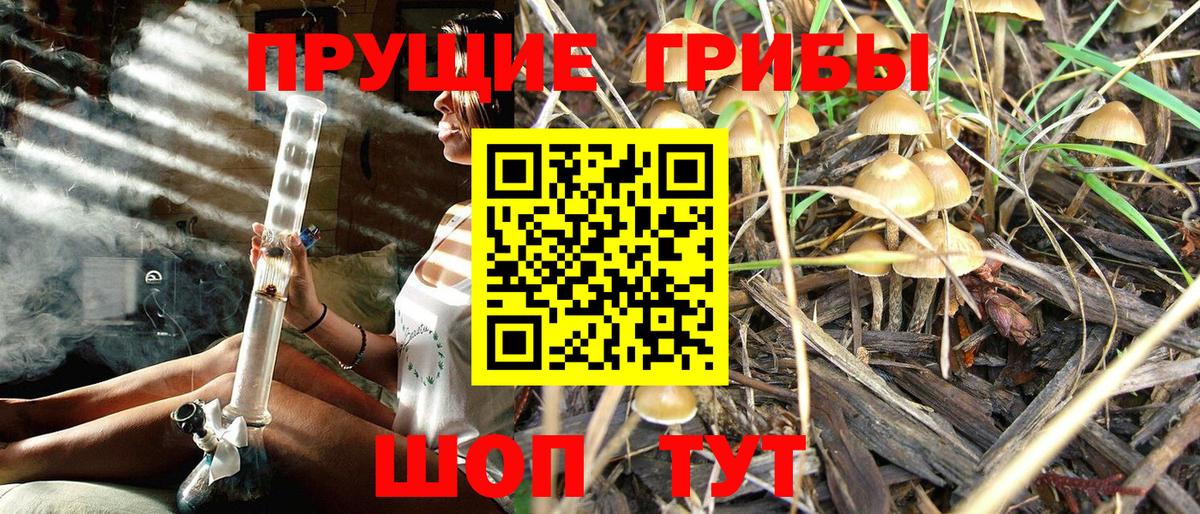 Псилоцибиновые грибы прущие грибы  Вход с VPN  Энгельс 